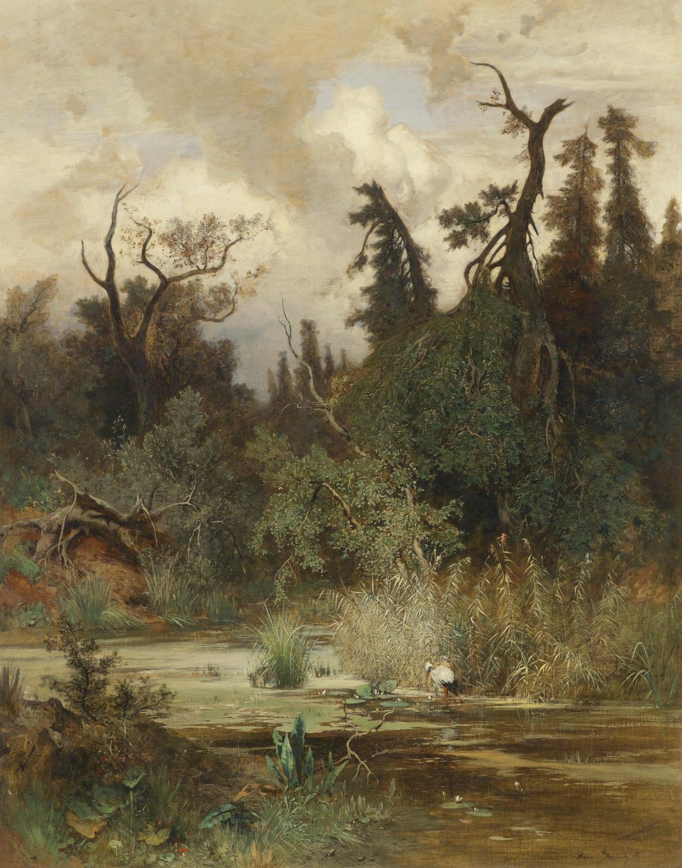 Sommer i alluvialskogen av Hans Schühly