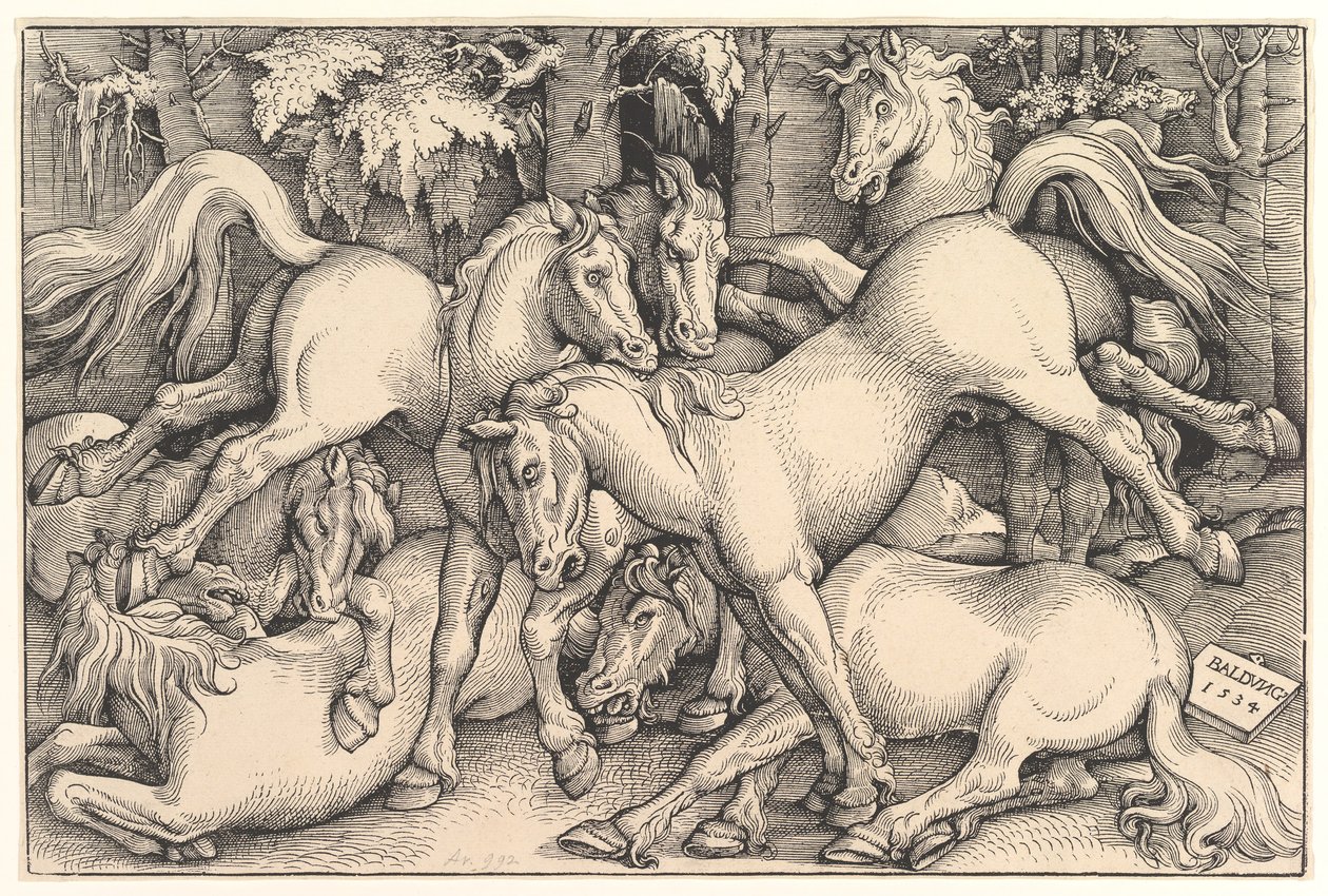 Gruppe på syv hester, 1534. av Hans Baldung