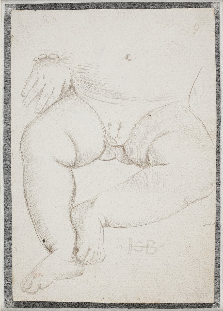 En liten guttmage, fang, bein og en hånd med armbånd av Hans Baldung Grien