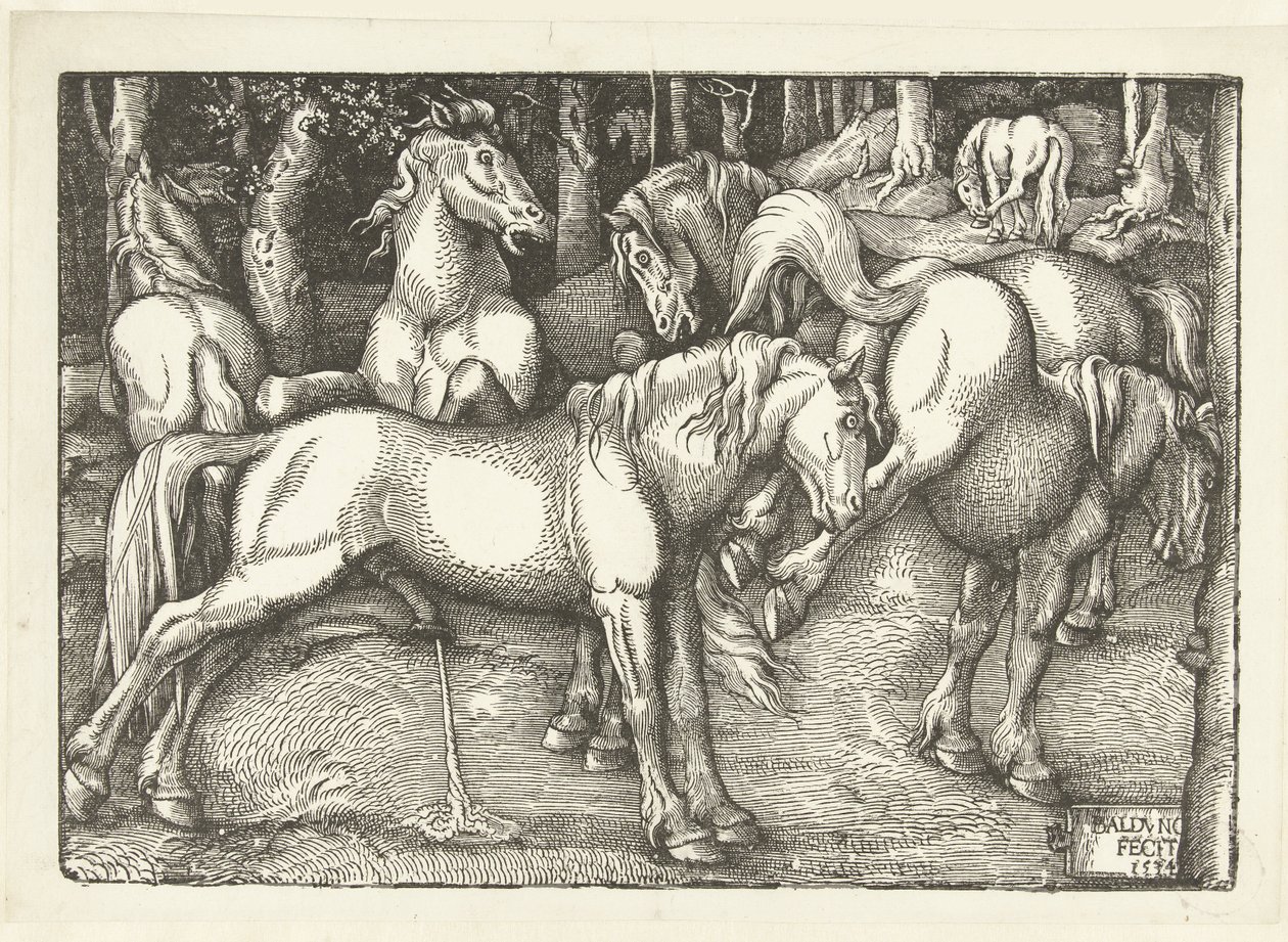 Gruppe på seks kamphester av Hans Baldung Grien
