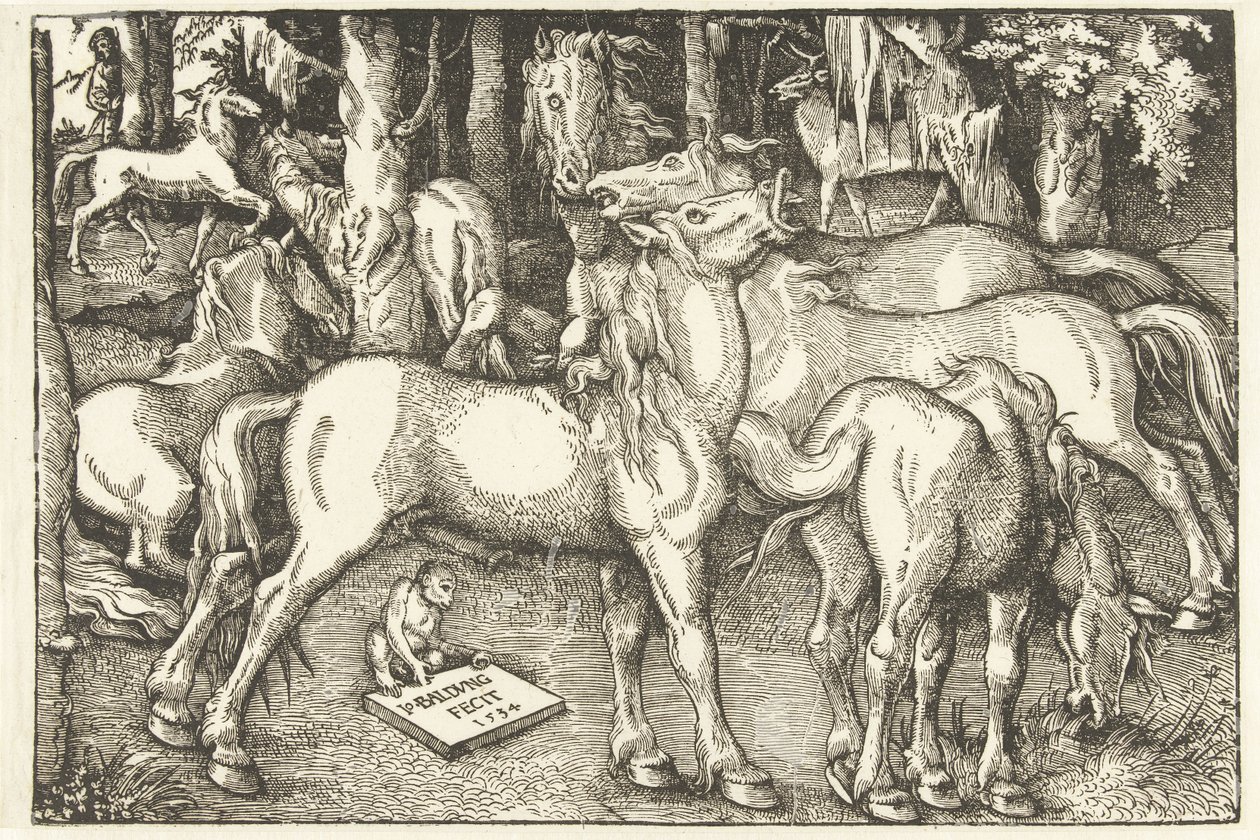 Gruppe på syv hester og en ape av Hans Baldung Grien