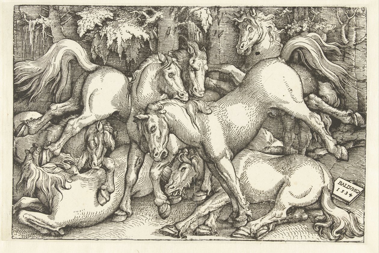 Gruppe på syv kamphester av Hans Baldung Grien