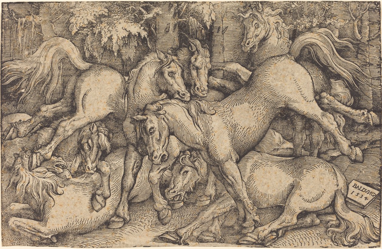Gruppe på syv hester i skogen av Hans Baldung Grien
