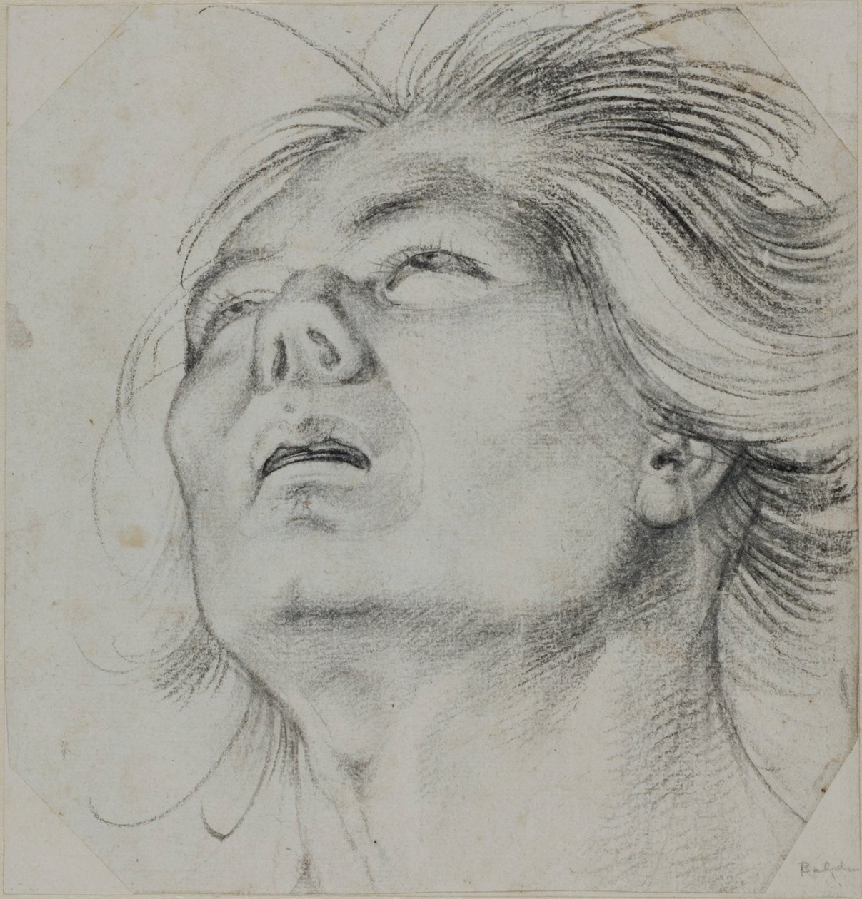 Hodet til en ung mann, sett nedenfra av Hans Baldung Grien