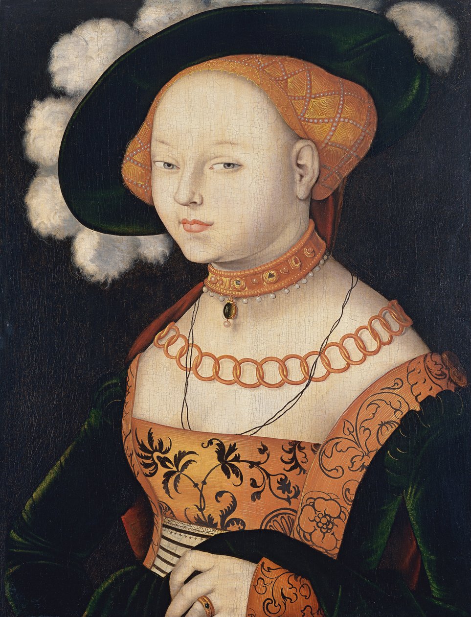 Portrett av en dame av Hans Baldung Grien