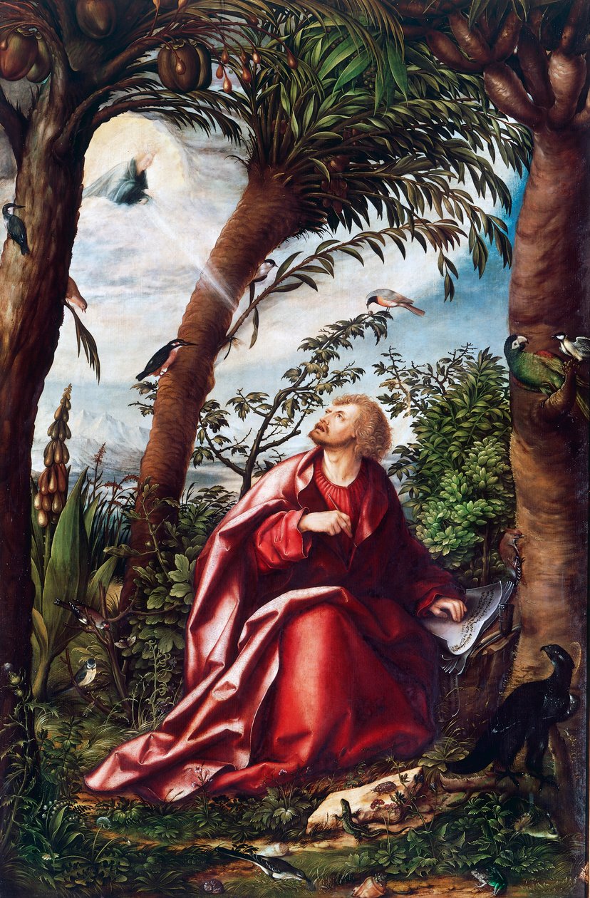 Saint John's visjon på Patmos, detalj fra Saint John altertavle av Hans Burgkmair