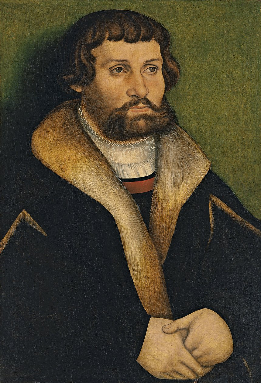 Portrett av en skjeggete mann av Hans Cranach