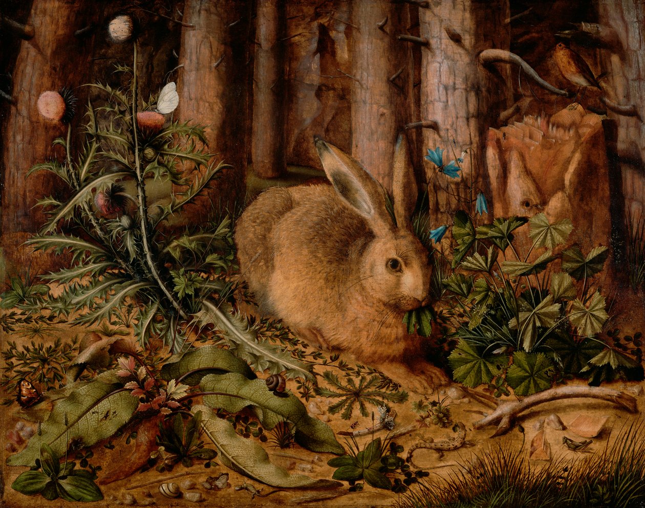 En hare i skogen, ca. 1585 (olje på panel) av Hans Hoffmann