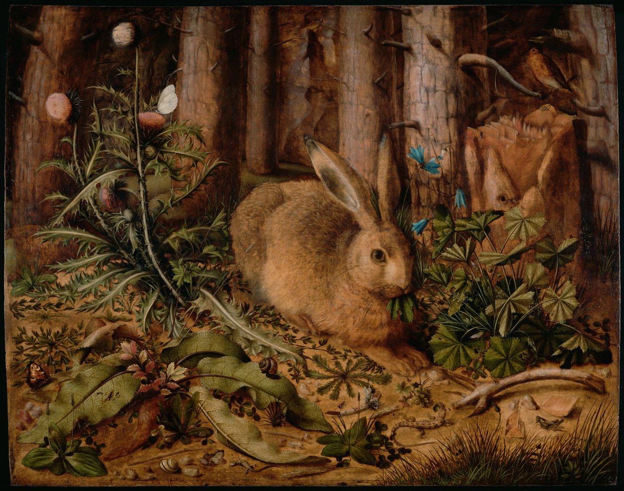 En hare i skogen, ca 1585 av Hans Hoffmann