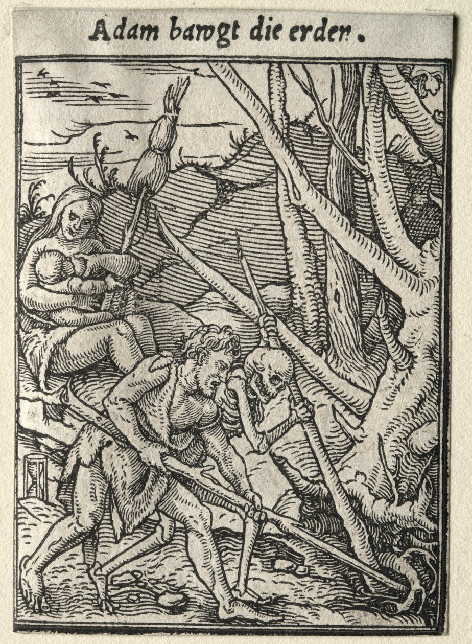 Dødedansen: Adam Tilling the Ground av Hans Holbein