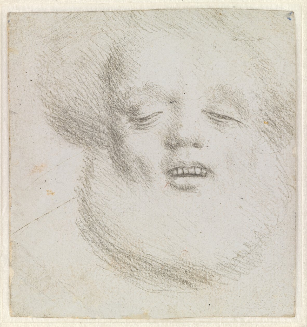 Hodet til en skjeggete mann i ansiktet sett nedenfra av Hans Holbein d.Æ.