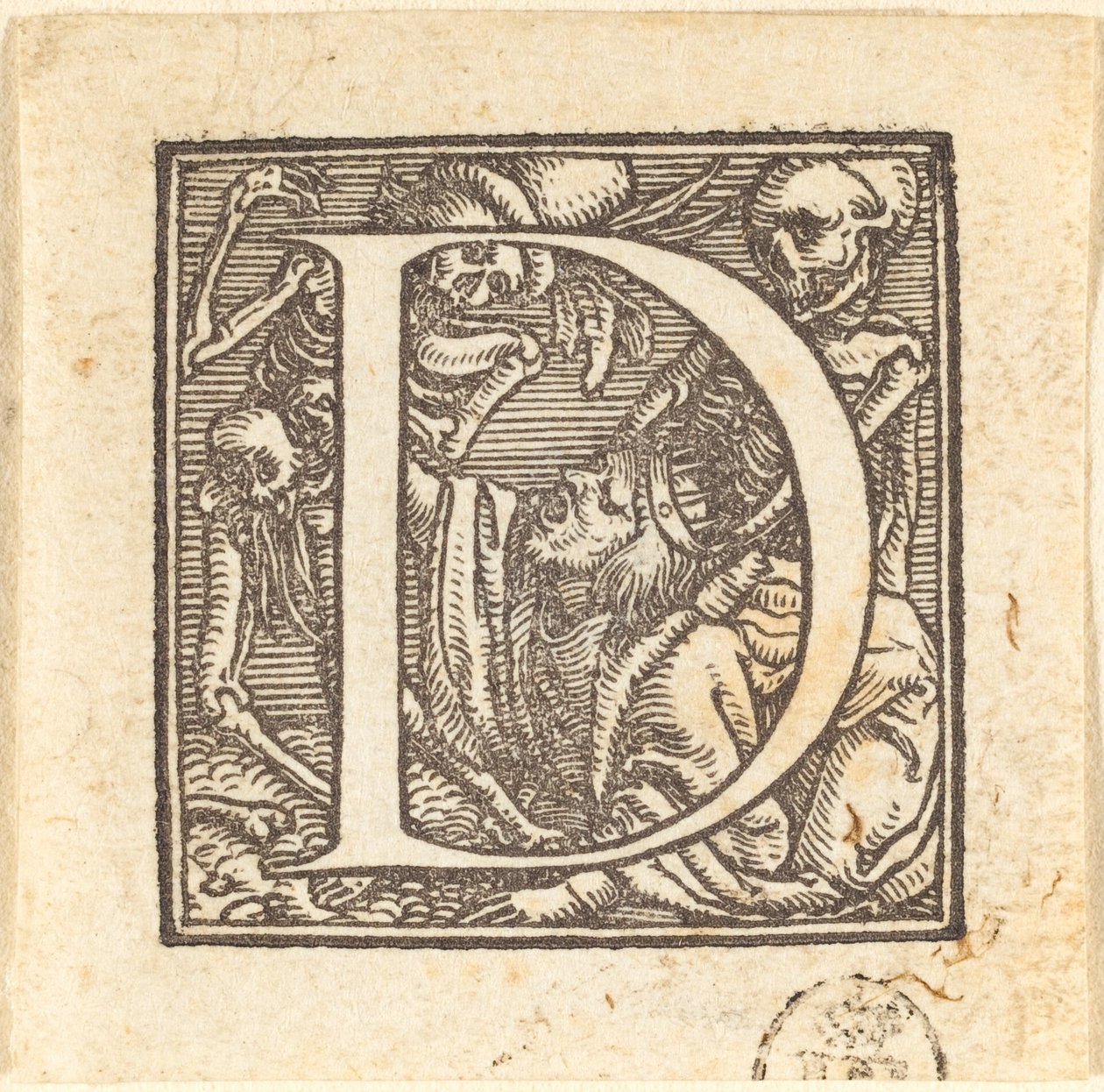 Bokstav D av Hans Holbein der Jüngere