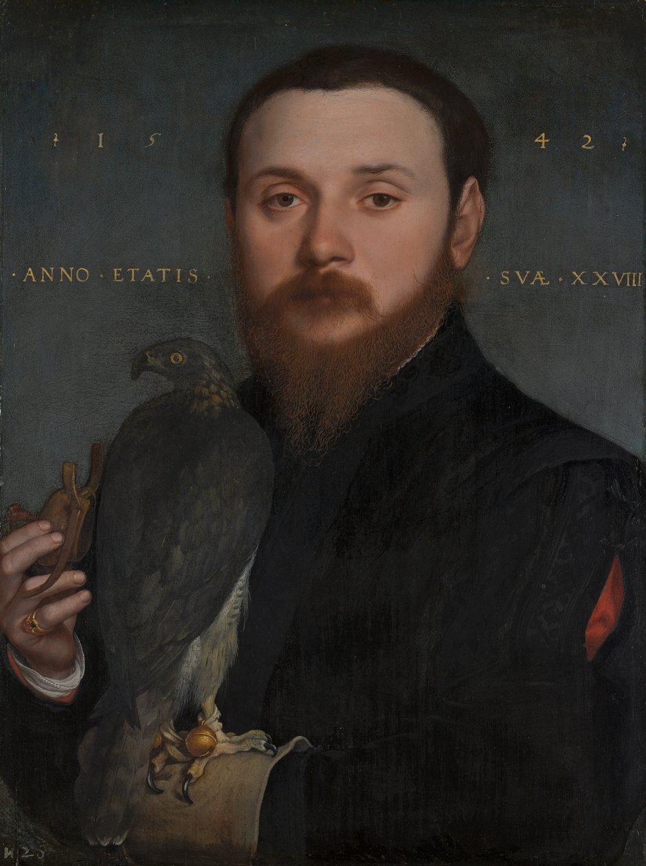 Portrett av en adelsmann med en hauk, 1542 av Hans Holbein der Jüngere