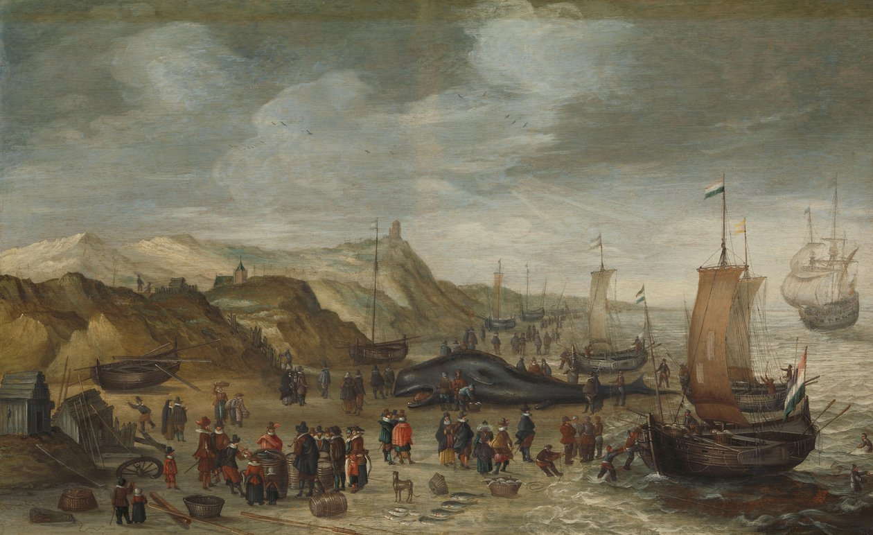 En spermhval skyllet opp på stranden ved Noordwijk, 28. desember 1614 av Hans I Savery