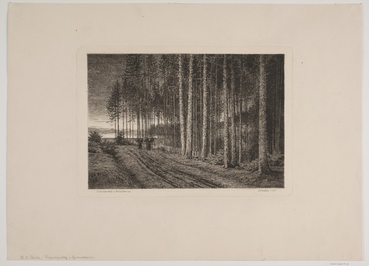 Regnværsdag i granskogen av Hans Julius Fæster