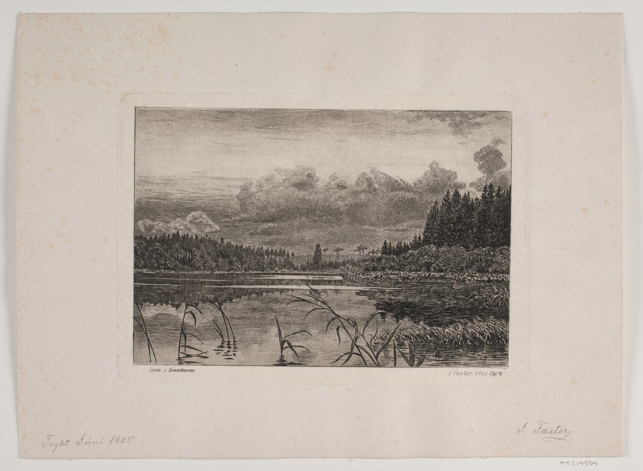 Innsjøen i granskogen av Hans Julius Fæster