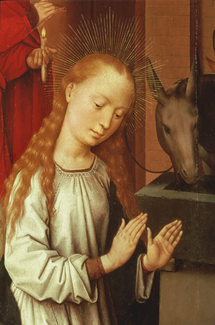 Detalj av jomfruen fra en fødselsscene av Hans Memling