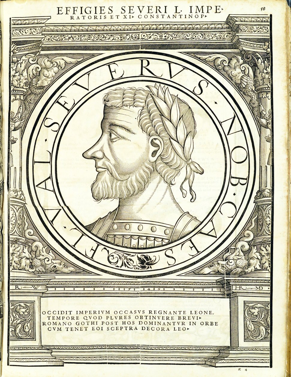 Severus D, illustrasjon fra 
