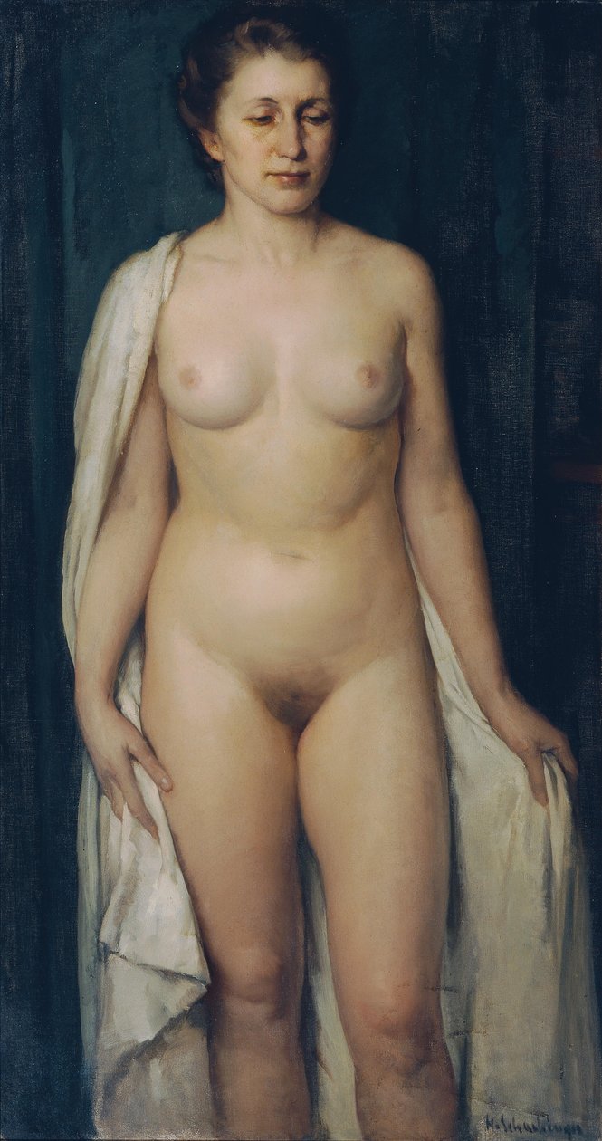  av Hans Schachinger