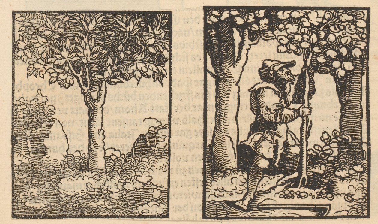 Tre og representasjon av en fruktplukker mellom trær av Hans Schäufelein (possibly)
