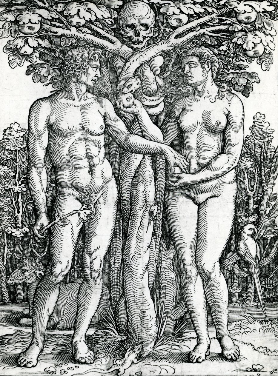 Adams og Evas fall, ca. 1525-27 (tresnitt) av Hans Sebald Beham