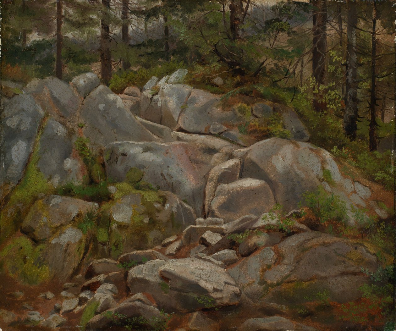 Steinblokker med granstammer av Hans Thoma