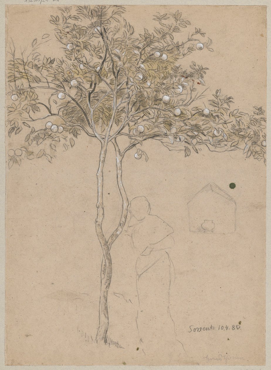 Studie av et appelsintre fra området rundt Sorrento. Omriss av en kvinneskikkelse av Hans Thoma