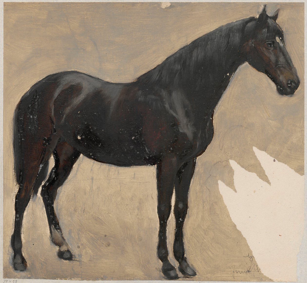 Studie av en hest av Hans Thoma