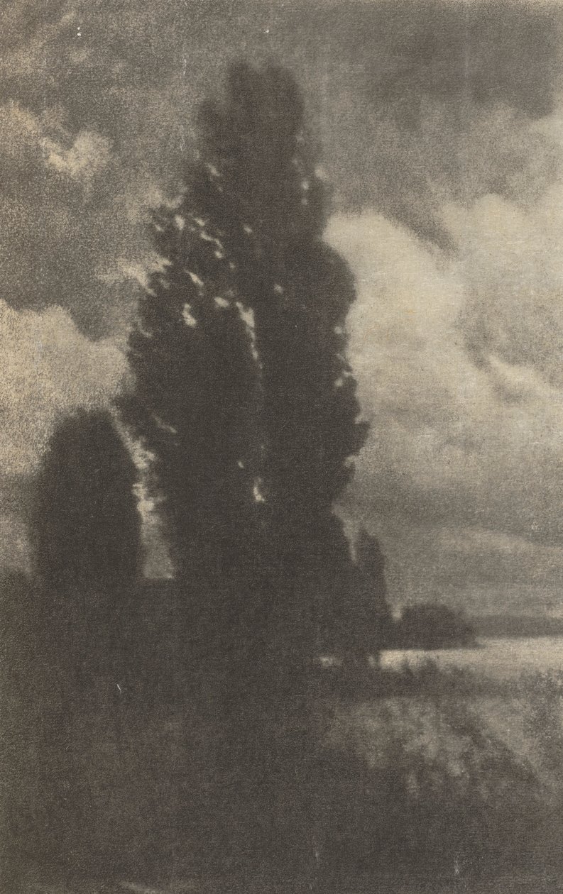 Kameraarbeid: Poplars and Clouds, 1906. av Hans Watzek