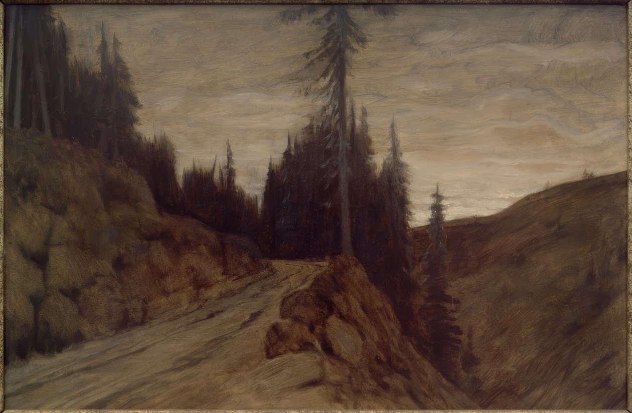 Grantrær i skumringen av Hans am Ende