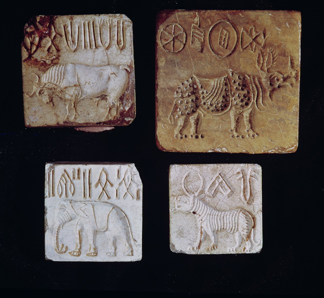 Fire seler som viser en okse, et neshorn, en elefant og en tiger med piktografiske symboler, fra Indusdalen, Pakistan, 3000-1500 f.Kr. av Harappan