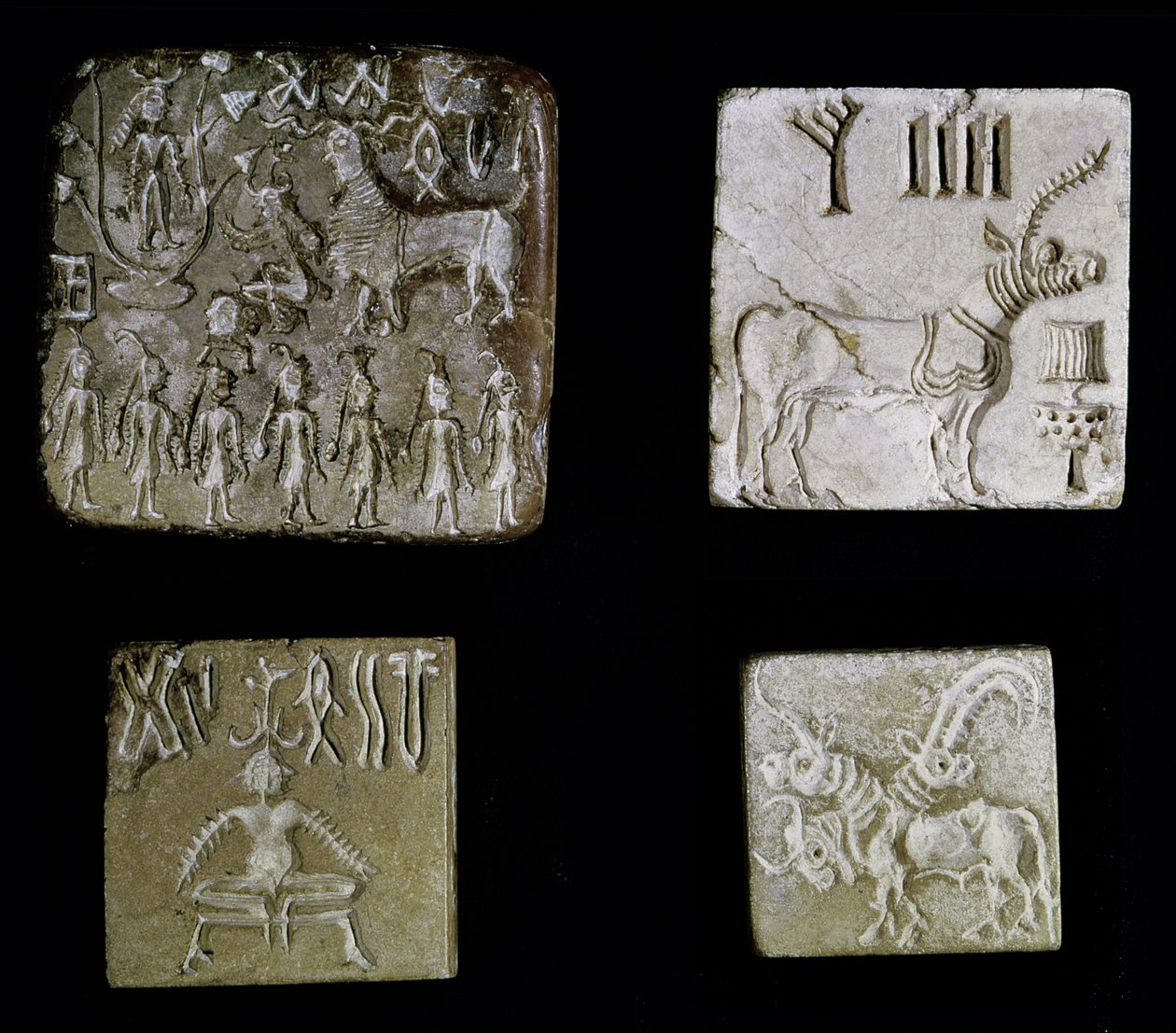 Fire segl som viser mytologiske dyr, fra Mohenjo-Daro, Indusdalen, Pakistan, 3000-1500 f.Kr. av Harappan