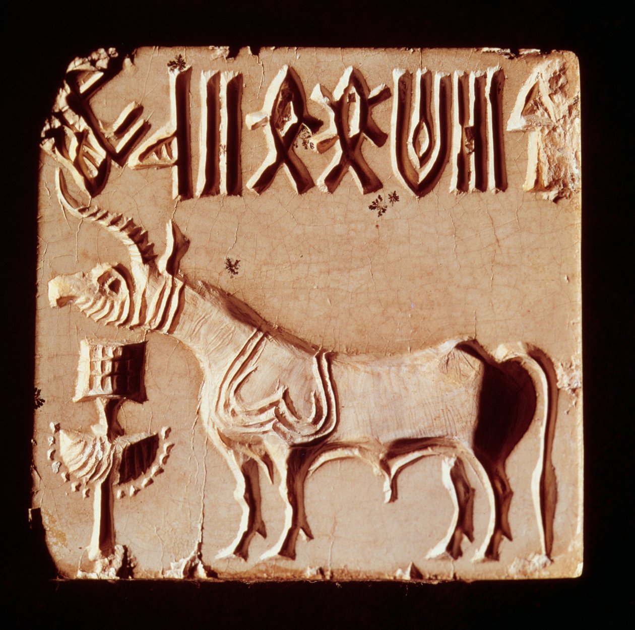 Segl som viser et mytologisk dyr og piktografiske symboler, fra Mohenjo-Daro, Indusdalen, Pakistan, 3000-1500 f.Kr. av Harappan