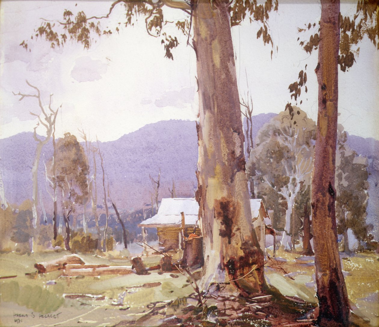 The Settler