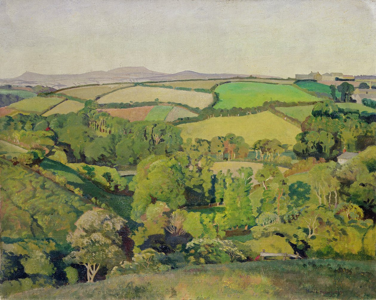 Drift Valley (olje på lerret) av Harold Harvey