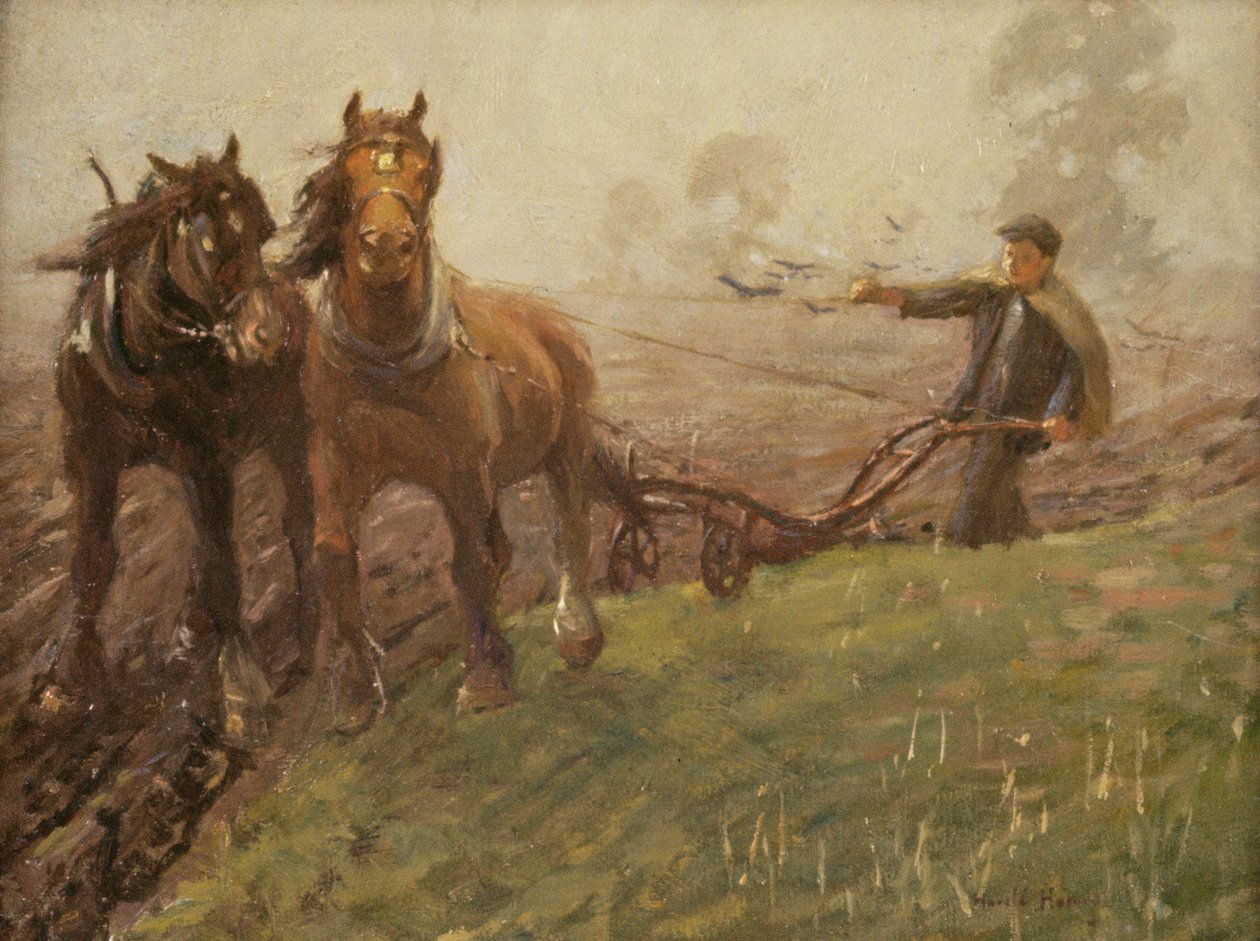 Mann som pløyer en åker av Harold Harvey