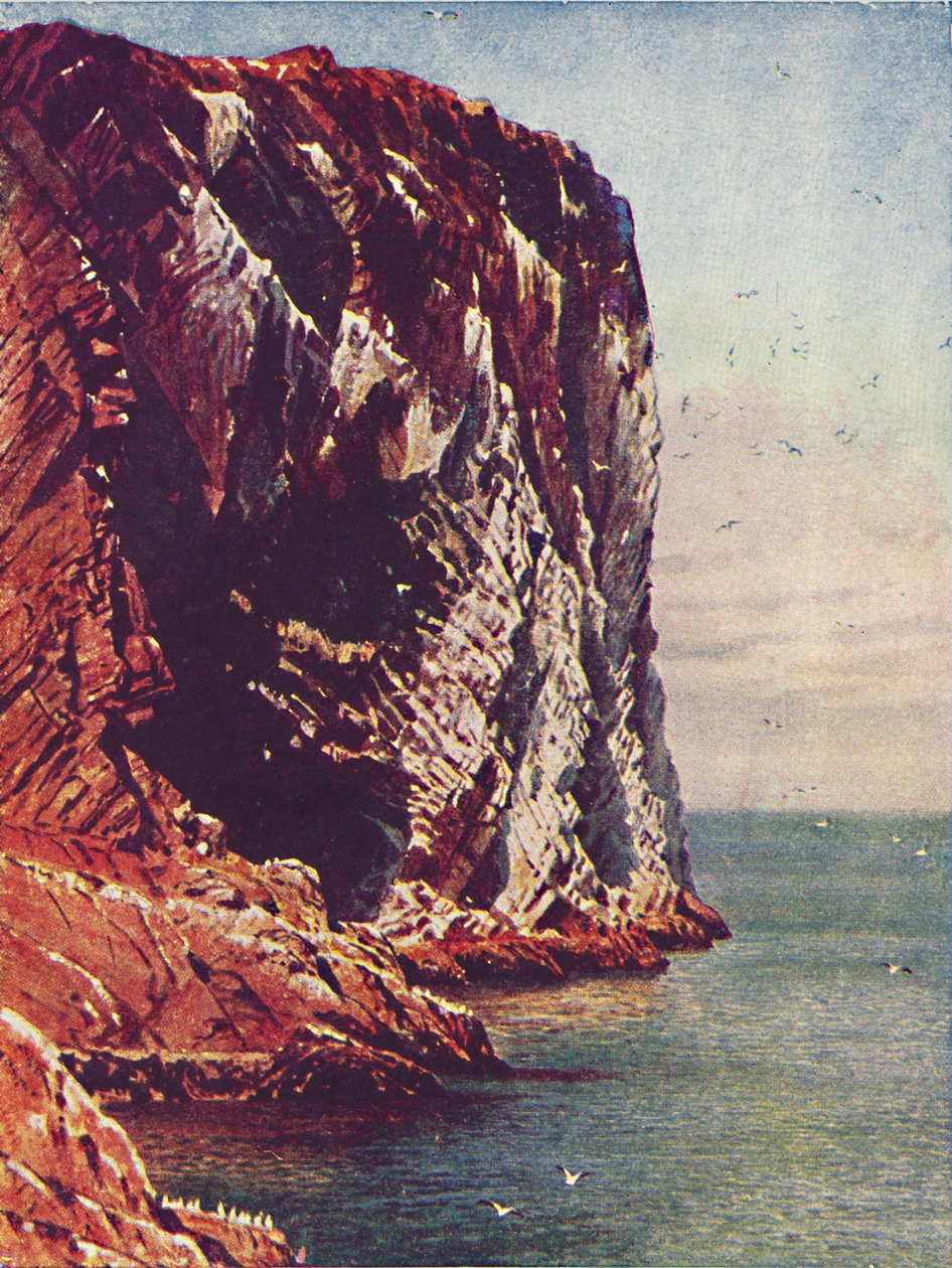 Bass Rock, 1910 av Harold Sutton Palmer