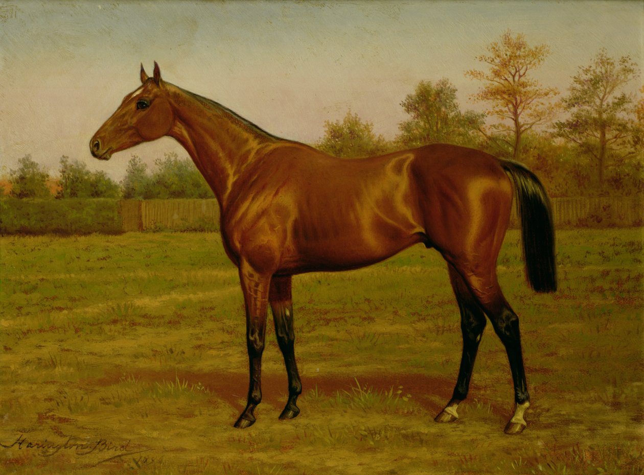 Isinglass, Triple Crown, 1893 av Harrington Bird