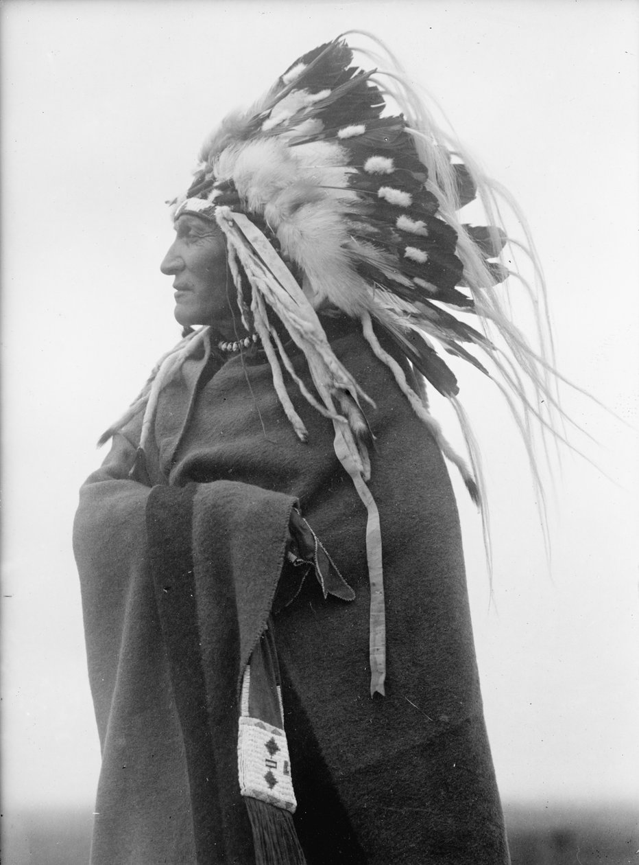 Lazy Boy, indianerhøvding av Harris & Ewing