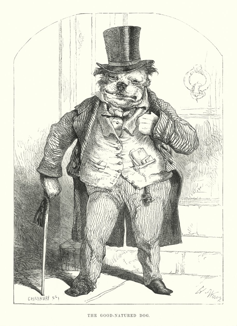 Morsomme hunder: Den godmodige hunden (gravering) av Harrison William Weir