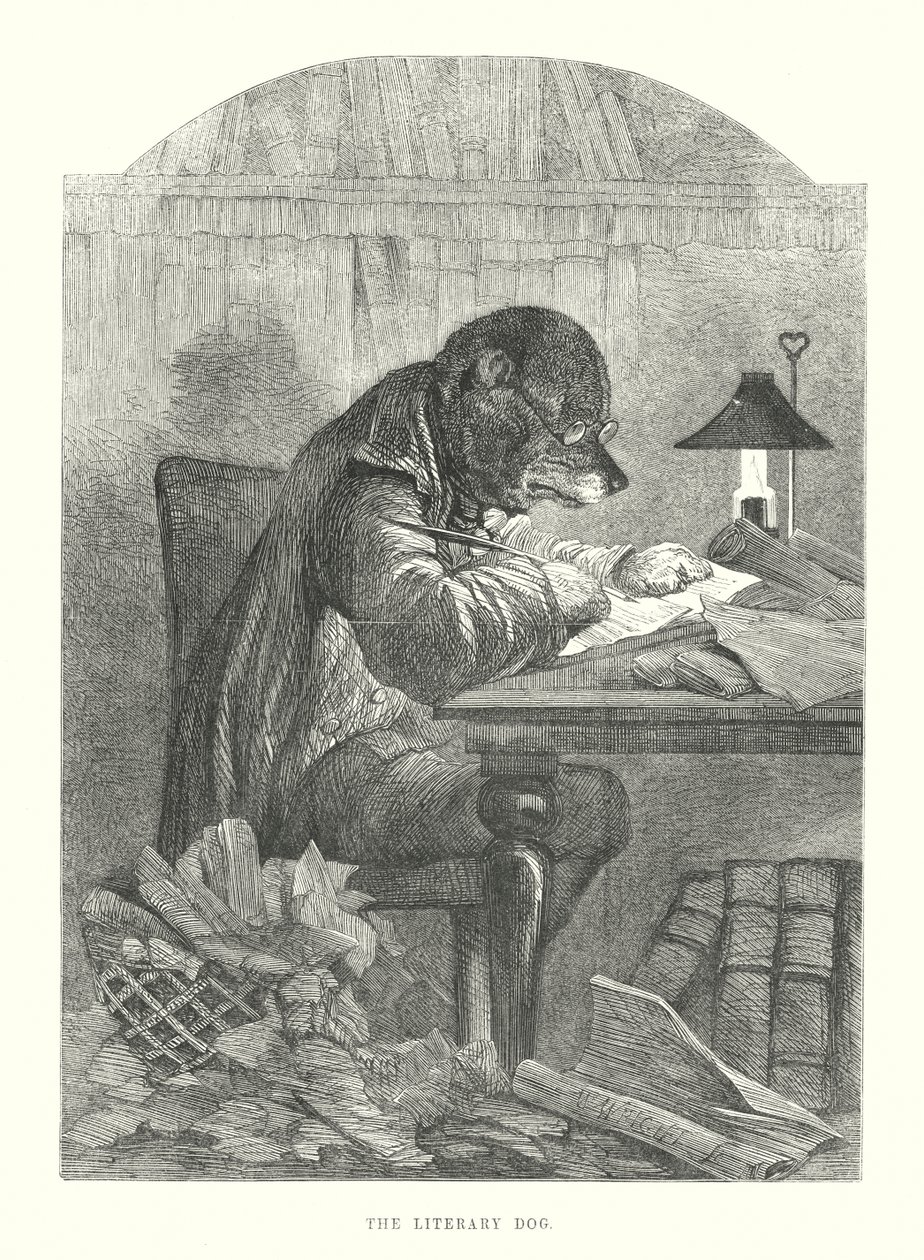 Morsomme hunder: Den litterære hunden (gravering) av Harrison William Weir