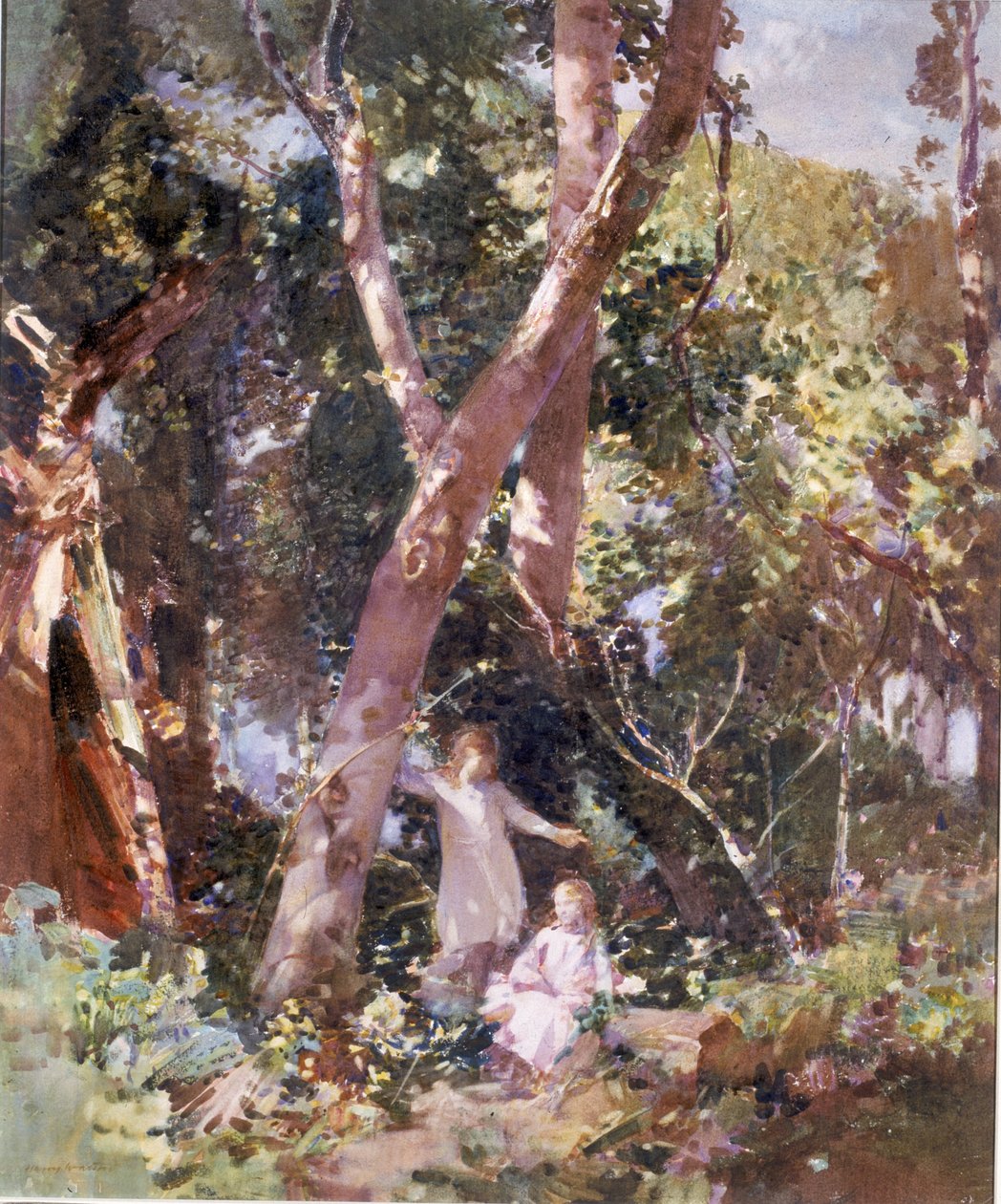 Copse, Dunston Sussex (akvarell og kroppsfarge på kort) av Harry Watson