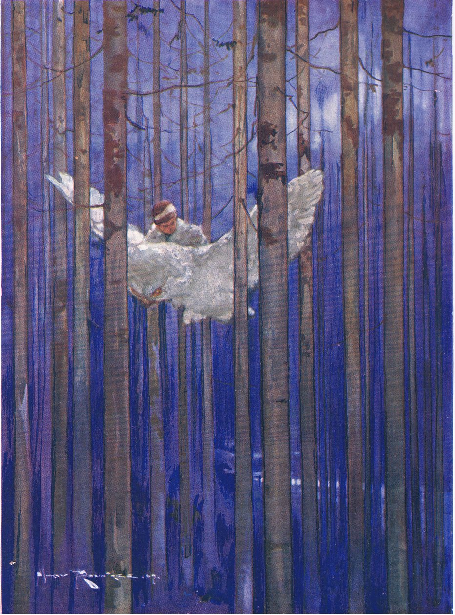 Ugla og Gilbert hadde fantastiske turer i måneskinnet (fra The Forest Foundling) (farge litho) av Harry Rountree
