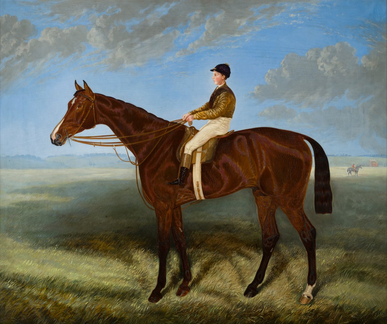 Salpinctes-a Race Horse, ca. 1814-82 (olje på lerret) av Harry (after) Hall