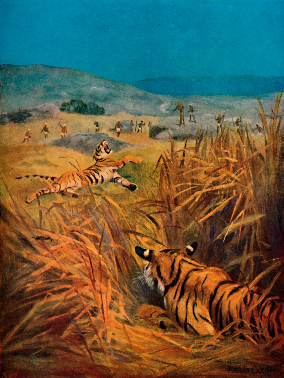 Tigers - The Terror of Indian Villages, 1913 av Harry Dixon
