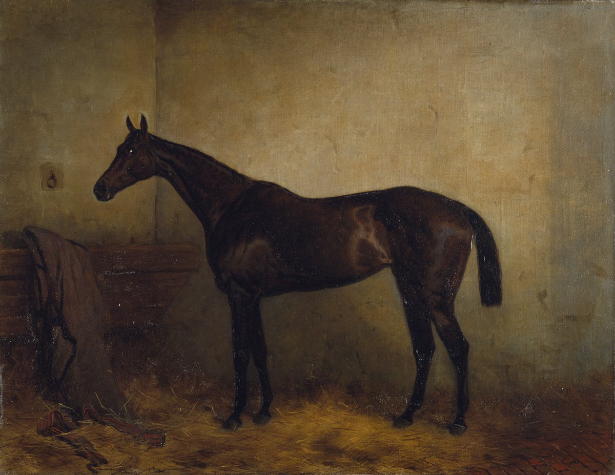 Chaplet, en buktløpshoppe i en løsboks, ca. 1877 (olje på lerret) av Harry Hall