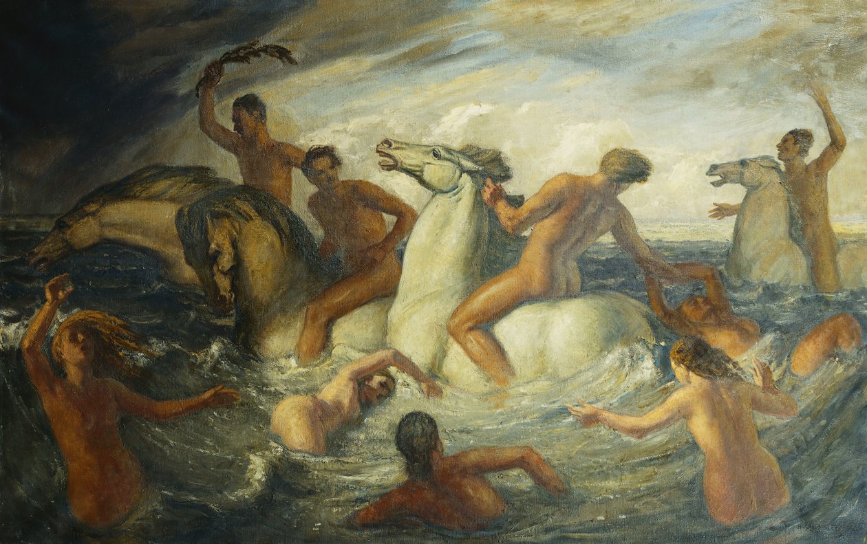 Havkappløpet av Harry Morley