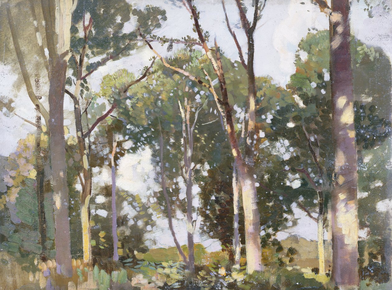Trær i sollys (panel) av Harry Watson