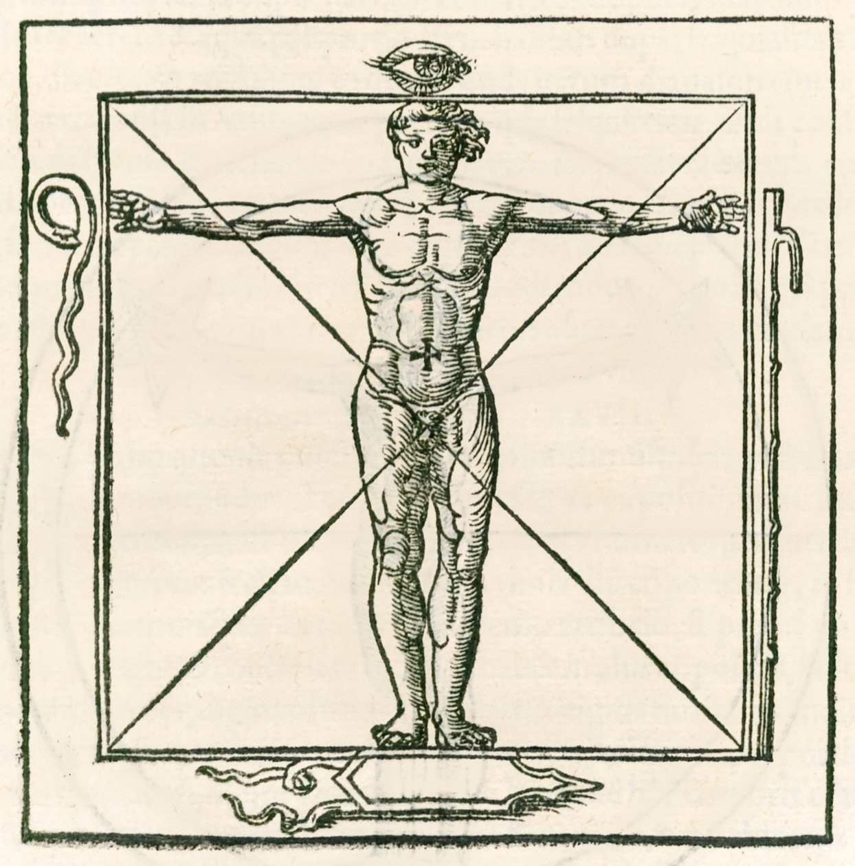 Mann på en firkant omgitt av symboler for øyet, slange, syv seksjonsstav og skjold. Gravering fra Heinrich Cornelius Agrippa von Nettesheim (1486-1535) De occulta philosophia libri tres (Three B av Heinrich Cornelius Agrippa von Nettesheim