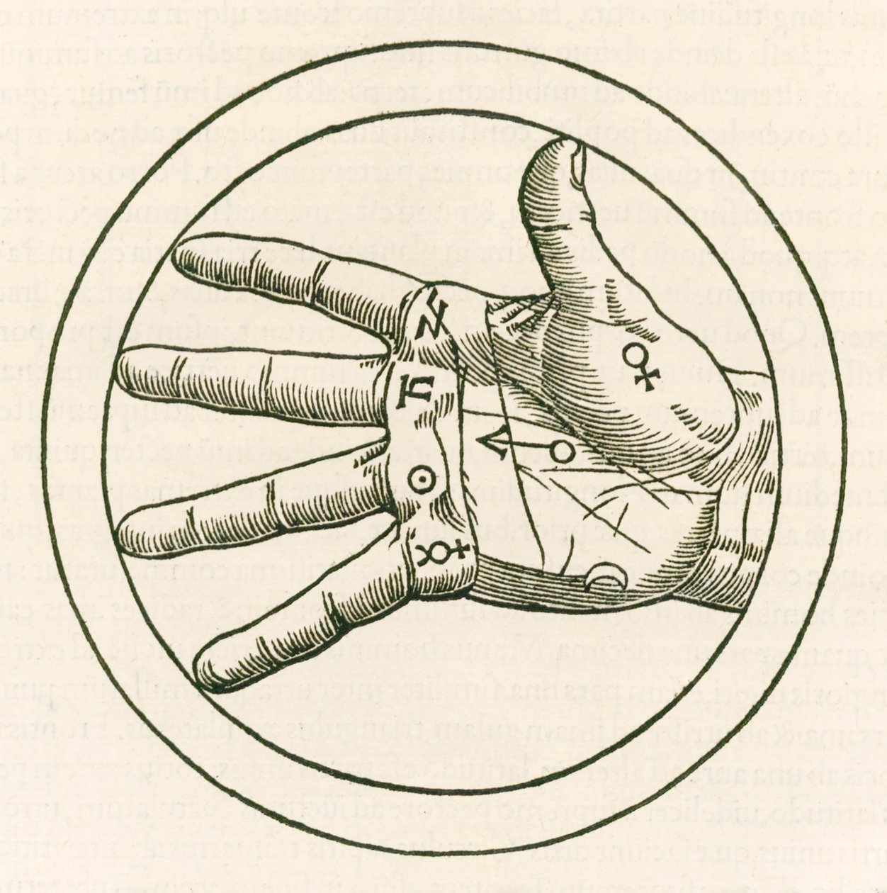 The Hand of Palmistry-gravering fra Heinrich Cornelius Agrippa von Nettesheim (1486-1535) De occulta philosophia libri tres (Three Books of Occult Philosophy) utgitt i 1533. av Heinrich Cornelius Agrippa von Nettesheim